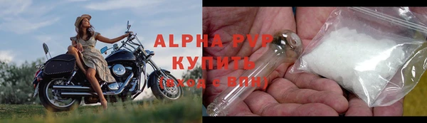 шишки Приозерск