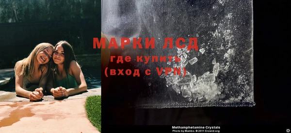 шишки Приозерск