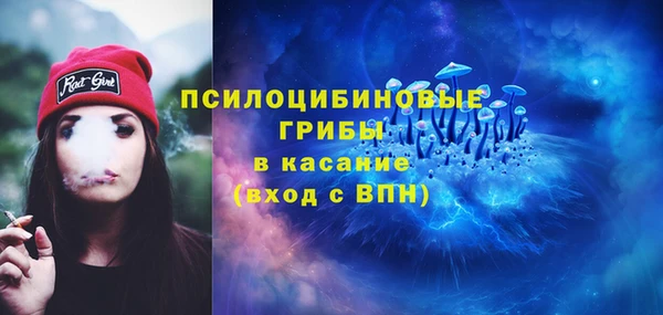 хмурый Абинск