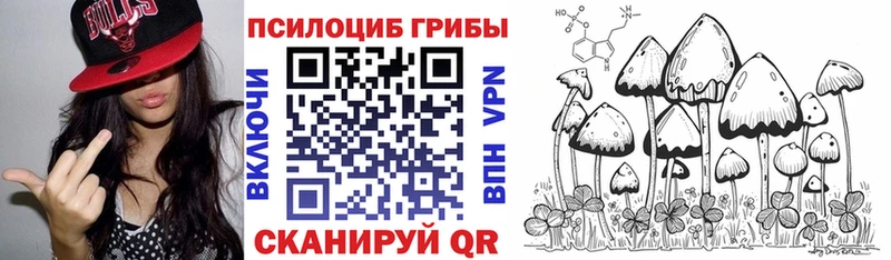 Галлюциногенные грибы MAGIC MUSHROOMS закладка Дубовка